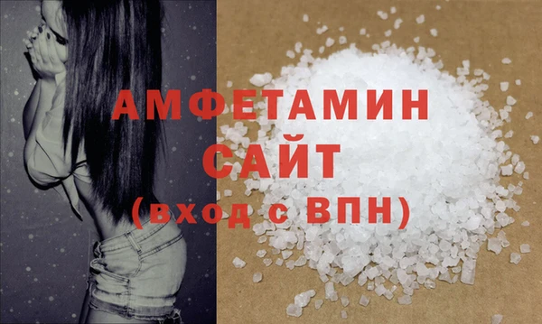 стаф Алзамай