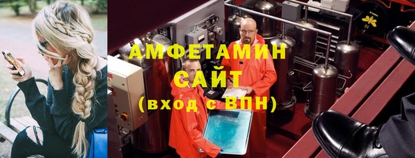 стаф Алзамай