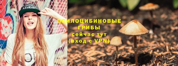 бошки Алексеевка