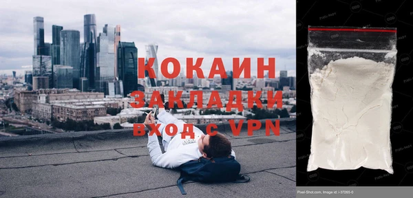 стаф Алзамай
